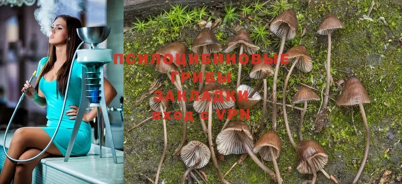 Галлюциногенные грибы Magic Shrooms  Короча 